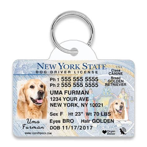 rfid tag dog|drivers license dog tags.